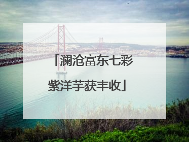 澜沧富东七彩紫洋芋获丰收