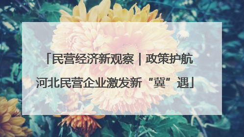 民营经济新观察｜政策护航 河北民营企业激发新“冀”遇