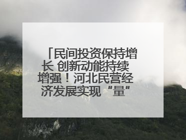 民间投资保持增长 创新动能持续增强！河北民营经济发展实现“量”“质”双提升