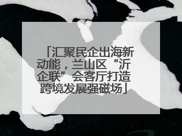 汇聚民企出海新动能，兰山区“沂企联”会客厅打造跨境发展强磁场