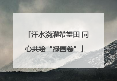 汗水浇灌希望田 同心共绘“绿画卷”