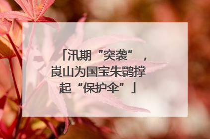 汛期“突袭”，崀山为国宝朱鹮撑起“保护伞”