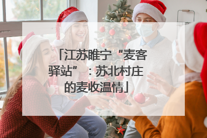 江苏睢宁“麦客驿站”：苏北村庄的麦收温情