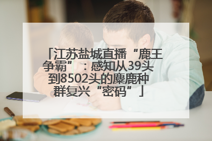 江苏盐城直播“鹿王争霸”：感知从39头到8502头的麋鹿种群复兴“密码”