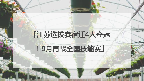 江苏选拔赛宿迁4人夺冠！9月再战全国技能赛