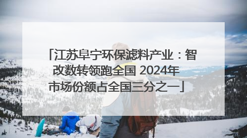 江苏阜宁环保滤料产业：智改数转领跑全国 2024年市场份额占全国三分之一