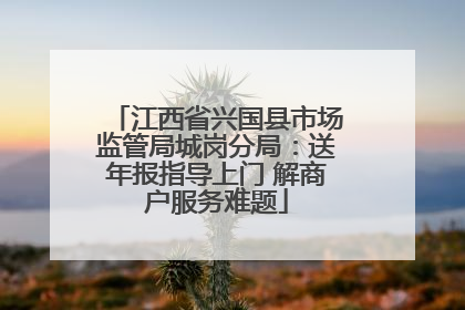 江西省兴国县市场监管局城岗分局：送年报指导上门 解商户服务难题