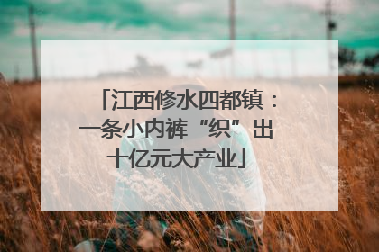 江西修水四都镇：一条小内裤“织”出十亿元大产业