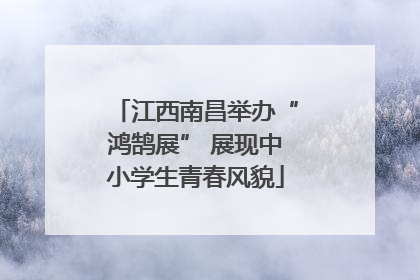 江西南昌举办“鸿鹄展” 展现中小学生青春风貌