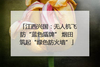 江西兴国：无人机飞防“蓝色盾牌” 烟田筑起“绿色防火墙”