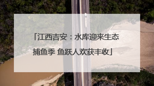 江西吉安：水库迎来生态捕鱼季 鱼跃人欢获丰收