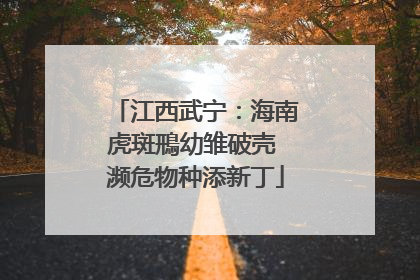 江西武宁：海南虎斑鳽幼雏破壳 濒危物种添新丁