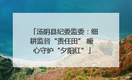 汤阴县纪委监委：细耕监督“责任田” 暖心守护“夕阳红”