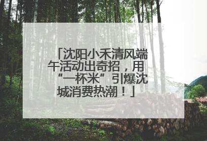 沈阳小禾清风端午活动出奇招，用“一杯米”引爆沈城消费热潮！