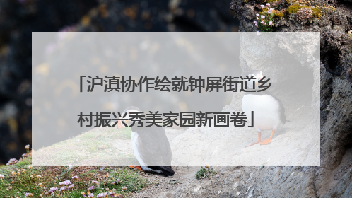 沪滇协作绘就钟屏街道乡村振兴秀美家园新画卷