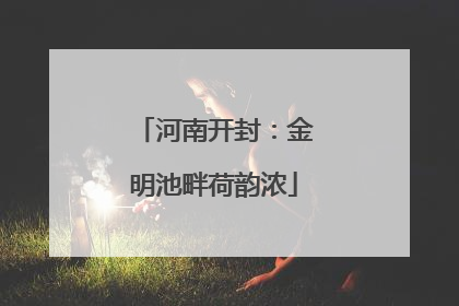 河南开封：金明池畔荷韵浓