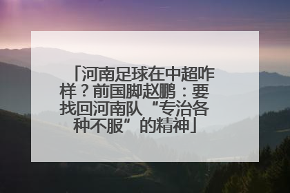 河南足球在中超咋样？前国脚赵鹏：要找回河南队“专治各种不服”的精神