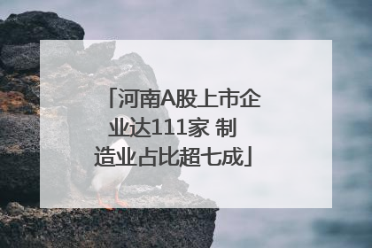 河南A股上市企业达111家 制造业占比超七成