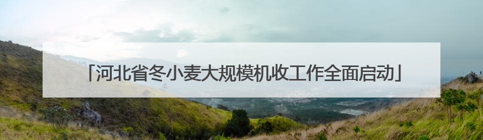 河北省冬小麦大规模机收工作全面启动