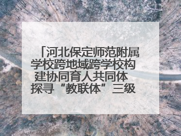 河北保定师范附属学校跨地域跨学校构建协同育人共同体 探寻“教联体”三级进阶之路