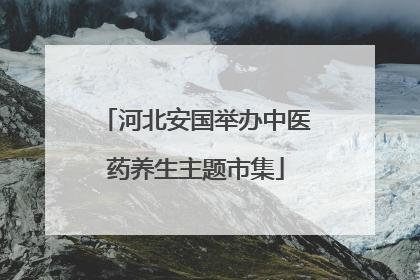 河北安国举办中医药养生主题市集
