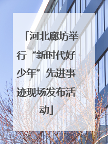 河北廊坊举行“新时代好少年”先进事迹现场发布活动
