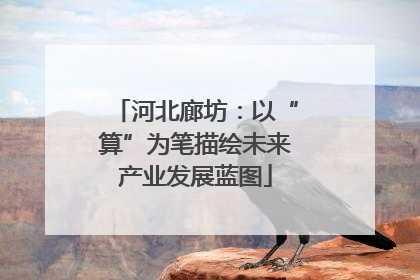 河北廊坊：以“算”为笔描绘未来产业发展蓝图