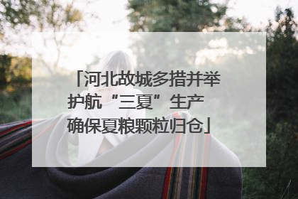 河北故城多措并举护航“三夏”生产 确保夏粮颗粒归仓