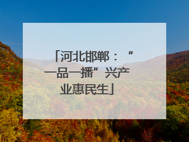 河北邯郸：“一品一播”兴产业惠民生