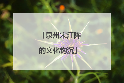 泉州宋江阵的文化钩沉