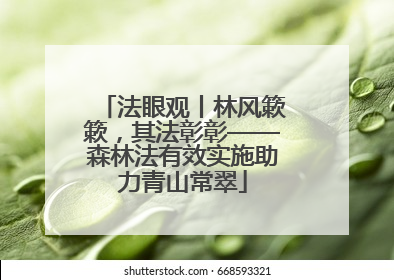 法眼观丨林风簌簌，其法彰彰——森林法有效实施助力青山常翠