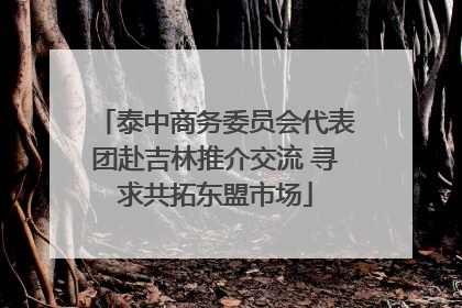 泰中商务委员会代表团赴吉林推介交流 寻求共拓东盟市场