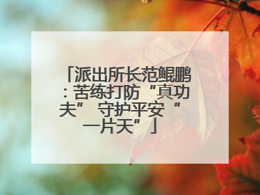 派出所长范鲲鹏：苦练打防“真功夫” 守护平安“一片天”