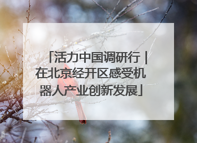活力中国调研行｜在北京经开区感受机器人产业创新发展