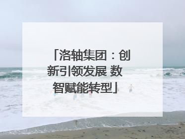 洛轴集团：创新引领发展 数智赋能转型