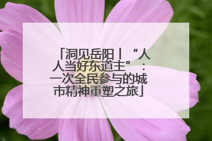 洞见岳阳丨“人人当好东道主”：一次全民参与的城市精神重塑之旅