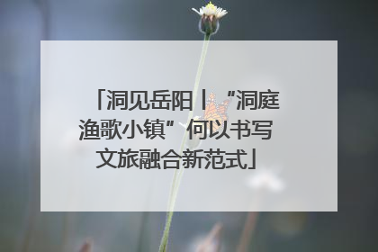 洞见岳阳丨“洞庭渔歌小镇”何以书写文旅融合新范式