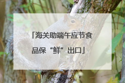 海关助端午应节食品保“鲜”出口