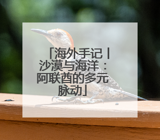 海外手记丨沙漠与海洋：阿联酋的多元脉动