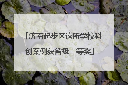 济南起步区这所学校科创案例获省级一等奖