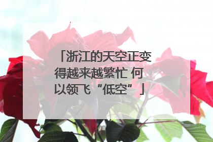 浙江的天空正变得越来越繁忙 何以领飞“低空”