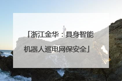 浙江金华：具身智能机器人巡电网保安全