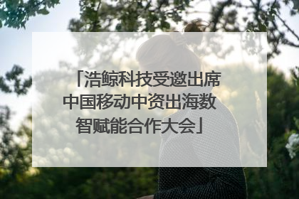 浩鲸科技受邀出席中国移动中资出海数智赋能合作大会