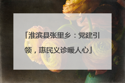 淮滨县张里乡：党建引领，惠民义诊暖人心