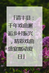 清丰县：千年戏曲邂逅乡村振兴，精彩戏曲盛宴燃动夏日