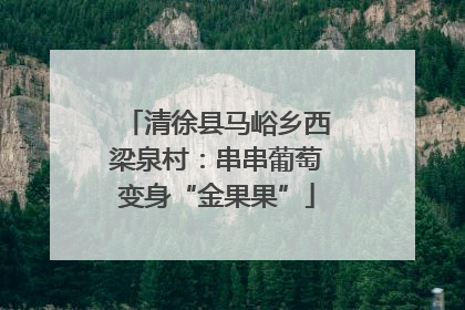 清徐县马峪乡西梁泉村：串串葡萄变身“金果果”