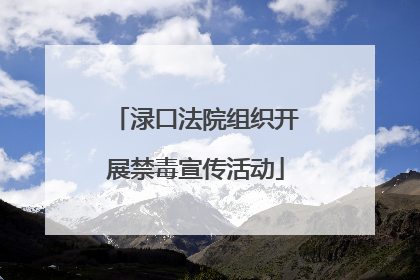 渌口法院组织开展禁毒宣传活动