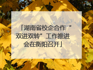 湖南省校企合作“双进双转”工作推进会在衡阳召开
