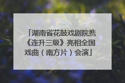 湖南省花鼓戏剧院携《连升三级》亮相全国戏曲（南方片）会演