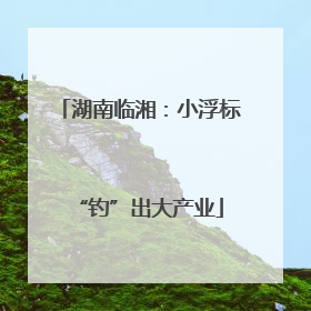 湖南临湘：小浮标“钓”出大产业